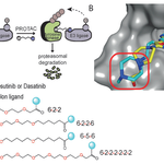 Ligand-Design-for-Target-Protein-1.png
