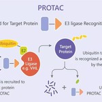 target-protein-services1.jpg