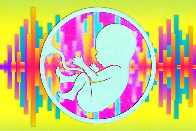 MIT-prenatal-hearing-01-press.jpg