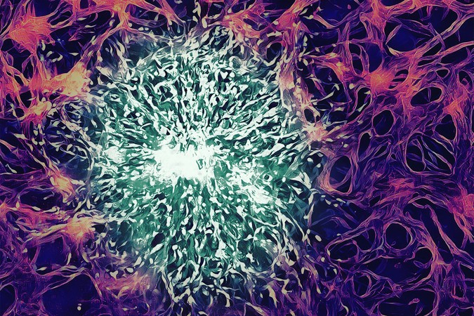 MIT_Blood-Brain-Barrier-01-PRESS.jpg