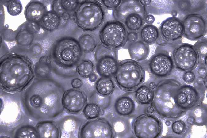 MIT-Carbon-Monoxide-01-PRESS.jpg