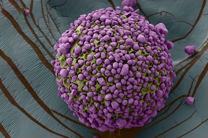 MIT-Vitamin-A-01-PRESS.jpg
