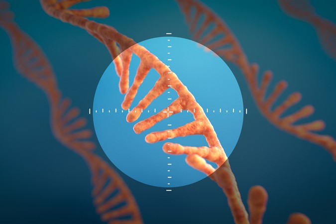 MIT-Targeted-RNA-01-PRESS.jpg