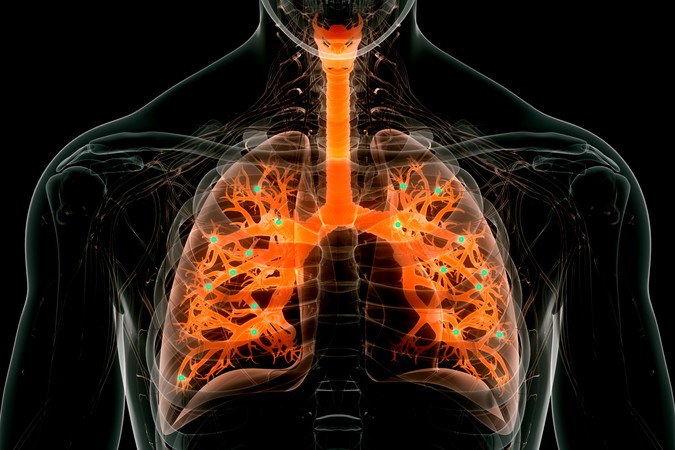 MIT-Lung-RNA-Delivery-01-PRESS.jpg