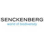 Senckenberg Deutsches Entomologisches Institut