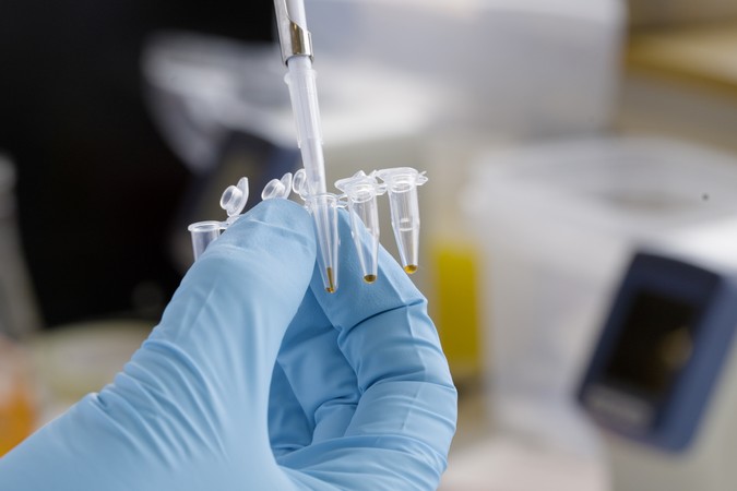 MIT_3D-Genome-01-press.jpg