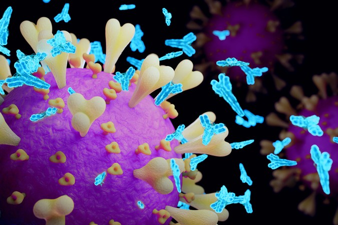 MIT-Neutralizing-Antibodies-01.jpg