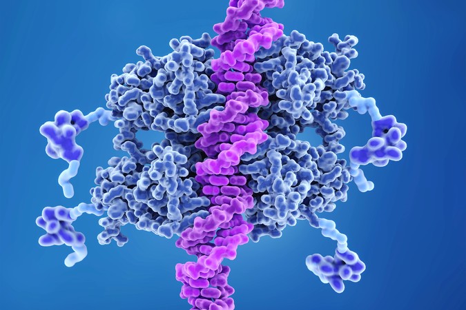 MIT-Cancer-Model-01.jpg