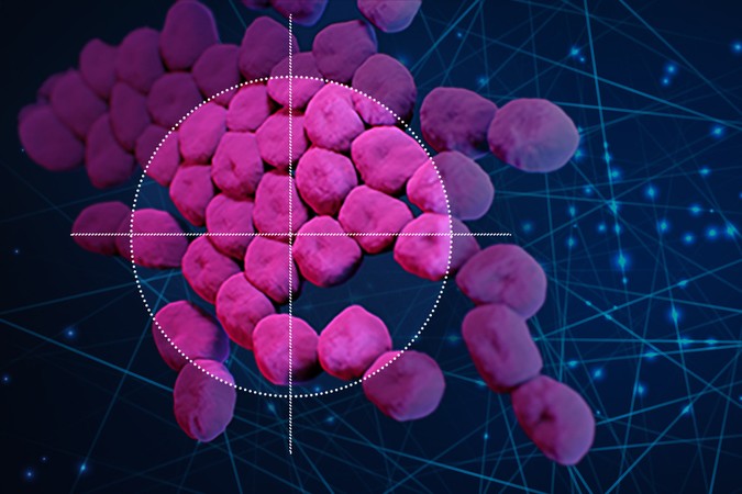 MIT_New-Antibiotic-01-PRESS_0.jpg