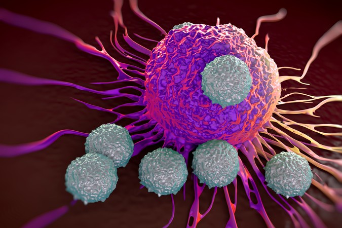 MIT-BoostingTCells-01.jpg