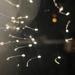IMG_0238.jpeg