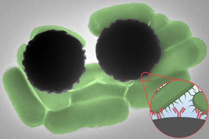 MIT-Magnetic-Contaminants-01-press.jpg