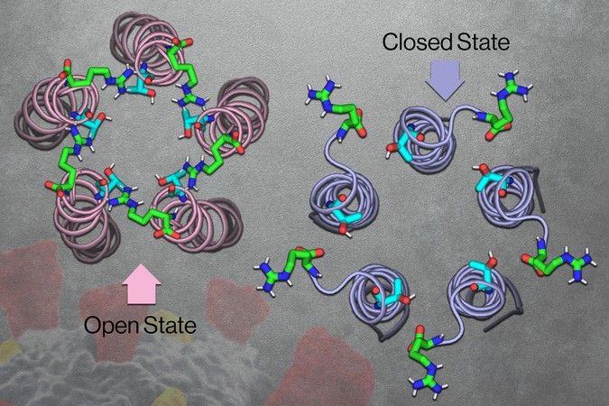 MIT_Coronavirus-Channel-01-PRESS.jpg