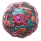 Daniëlle Osei-Boateng