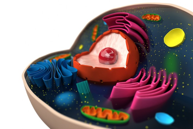 MIT-Epigenetic-Memory-01.jpg