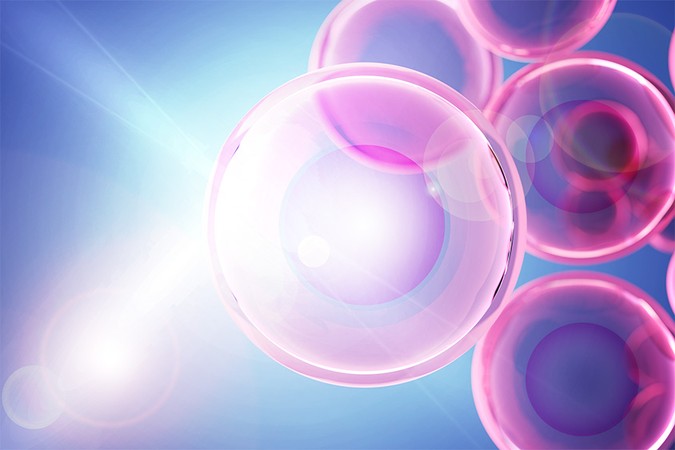 MIT_Imaging-Cells-01.jpg