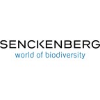 Senckenberg Centre for Human Evolution and Palaeoenvironment