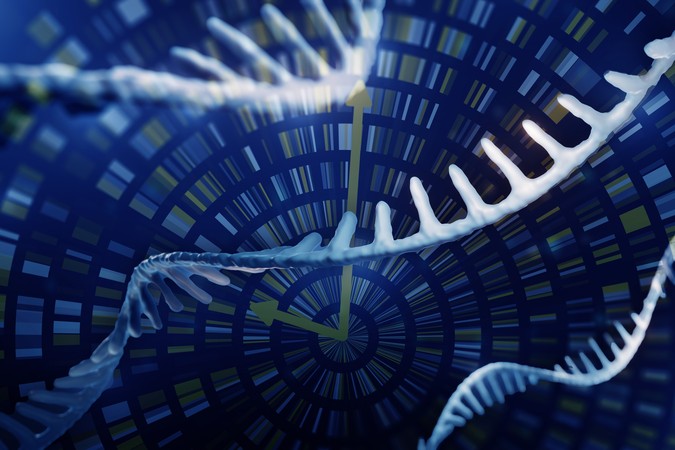MIT-Genomic-Imaging-01-press.jpg