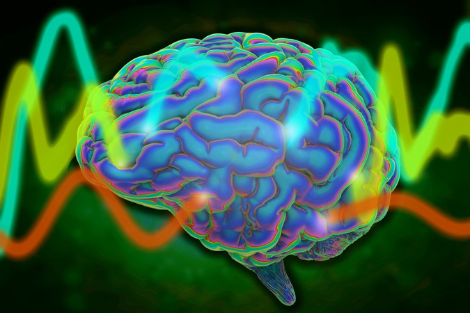 MIT-Brain-Layers-01-press.jpg
