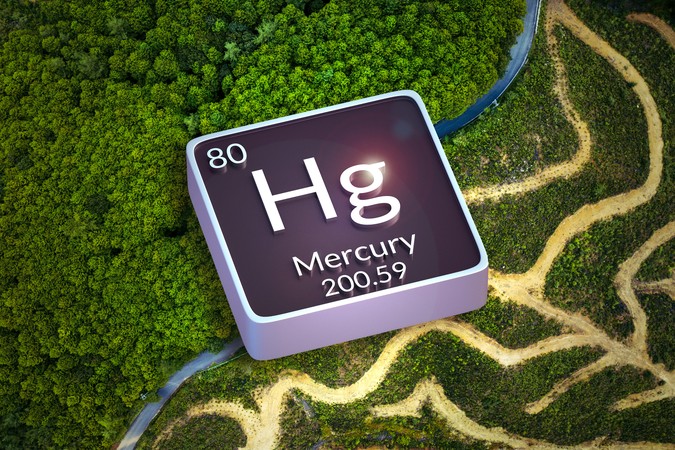 MIT-Mercury-Deforestation-01-press.jpg