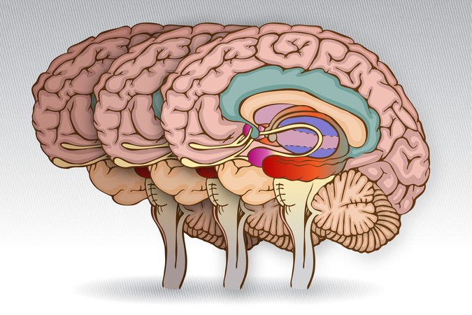 MIT-Neurolinguistics-MCI-01-PRESS.jpg