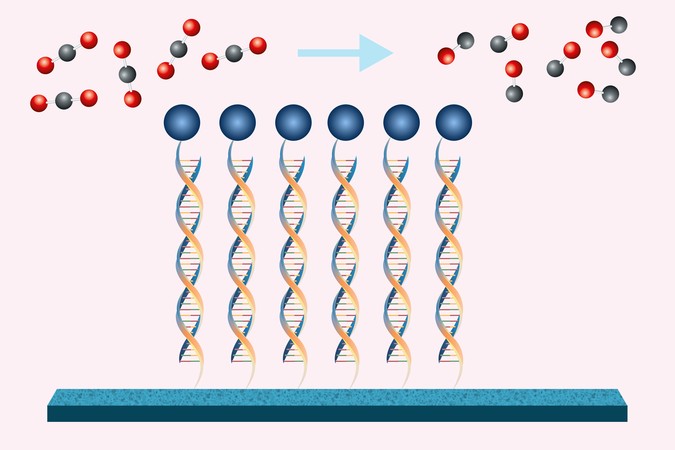 MIT-DNA-Catalyst-01-press.jpg