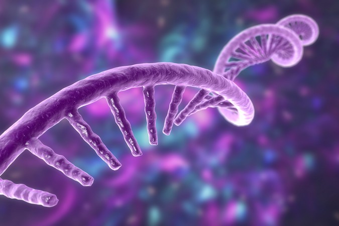 MIT_Enhancer-RNA-01.jpg