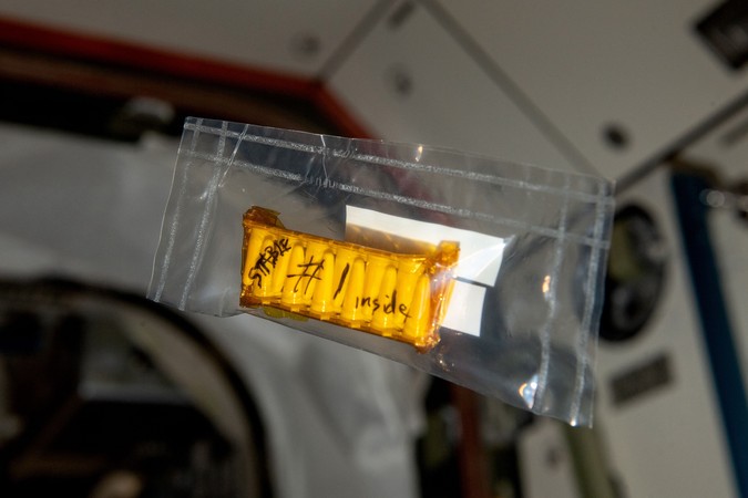 MIT-Synthetic-Extremophiles-01-press.jpg