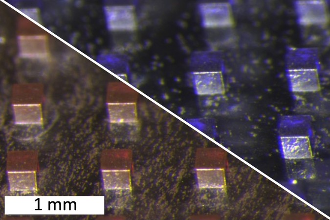 MIT-Cancer-Microparticle-01-press.jpg
