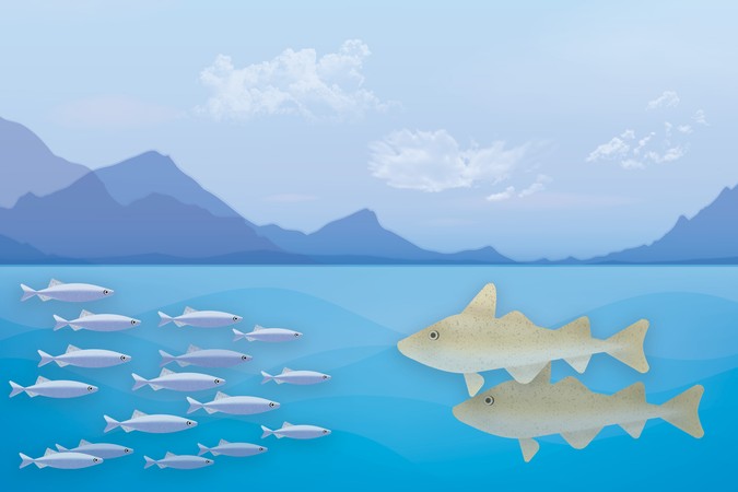 MIT_Mapping-Fish-01-Press.jpg