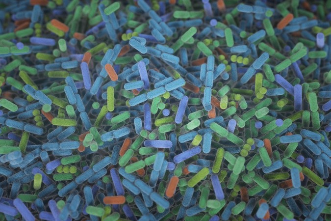 MIT_Bacterial-Immunity-01.jpg