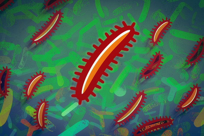 MIT-Invasion-Prediction-01-press.jpg