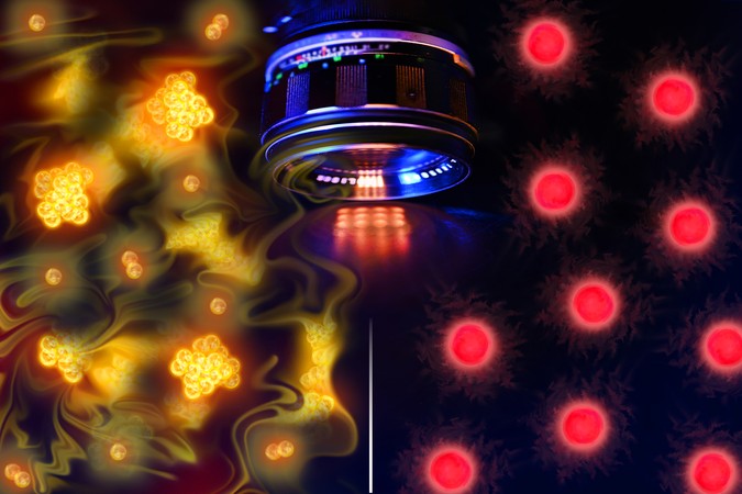 MIT-FreeAtoms-01-press_0.jpg