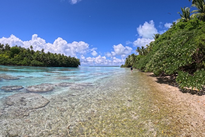 MIT-Reef-River_Tetiaroa01-press.jpg