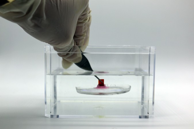 MIT_Underwater-Adhesives-01-press.jpg