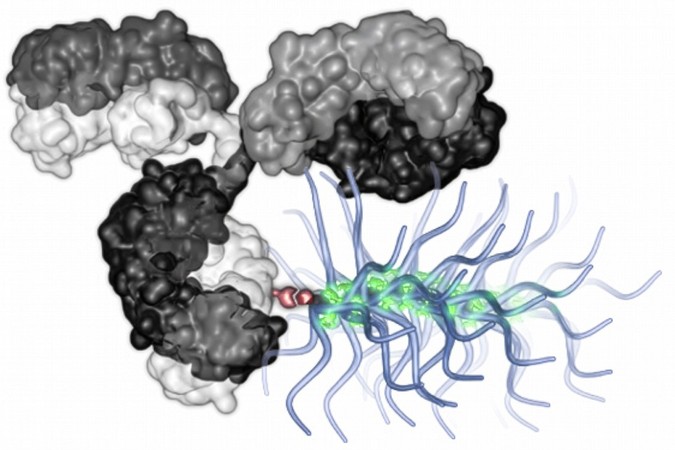 MIT_Antibody-Drug-01-press.jpg