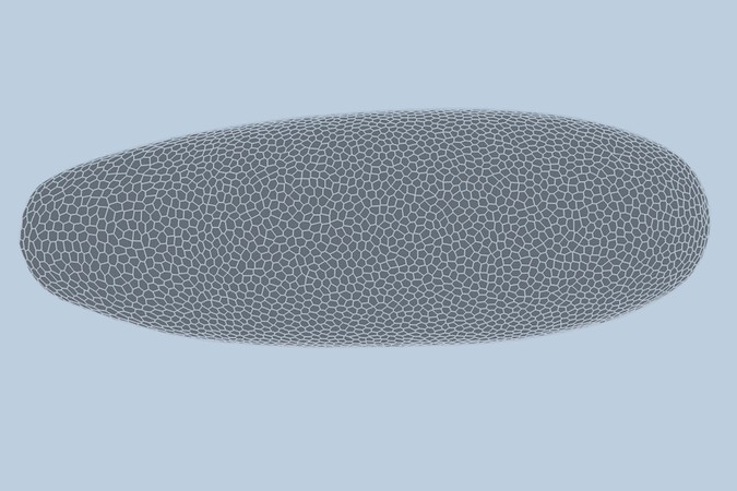 MIT-CellPredict-01-press.gif