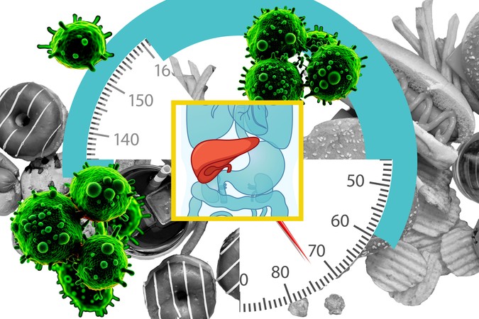 MIT_Diet-Cancer-01-press.jpg