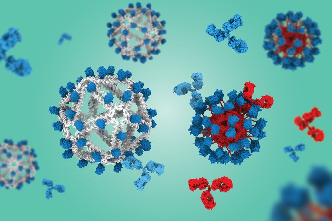 MIT-DNA-Origami-01-press.jpg