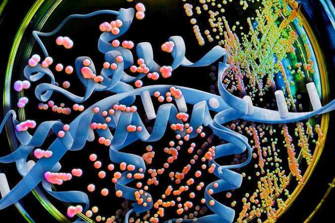 MIT-Efficient-Yeast-01-press.jpg
