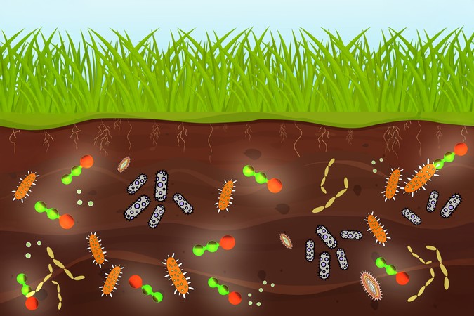 MIT-NO2-Toxicity-01-press.jpg