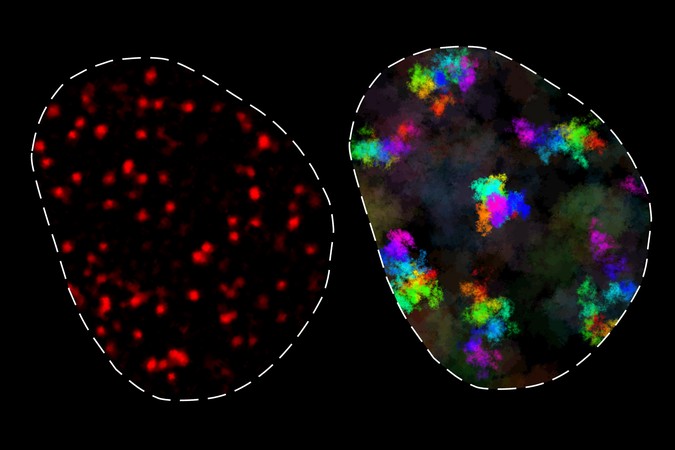 MIT-Chromatin-Dynamics-01-press.jpg