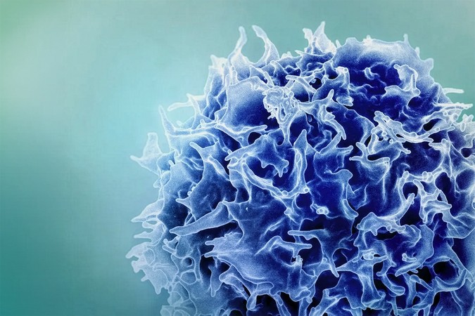 MIT_Immune-remodeling_Tcell-01-press.png