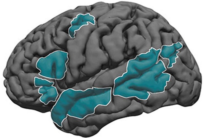 mit-mcgovern-brain-language.jpg