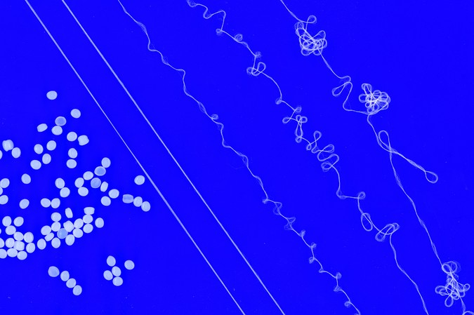Engineers design recyclable elastic yarn