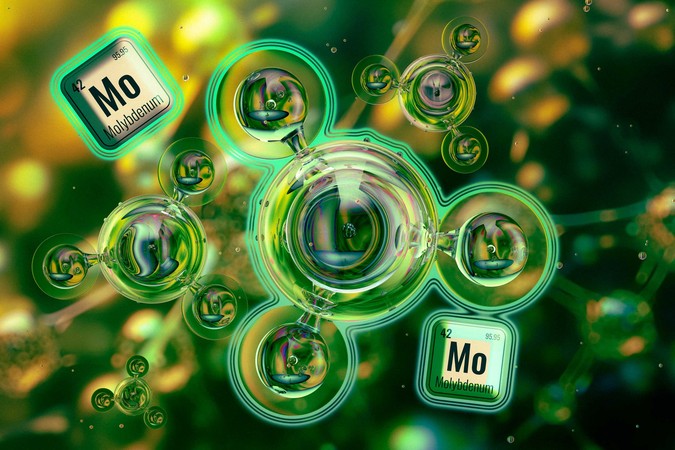 MIT-Efficient-Nitrogenases-01-press.jpg