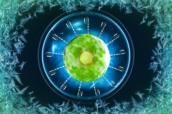 MIT-PreservingCells-01-press.jpg