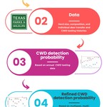 CapOvCWD (1).jpg