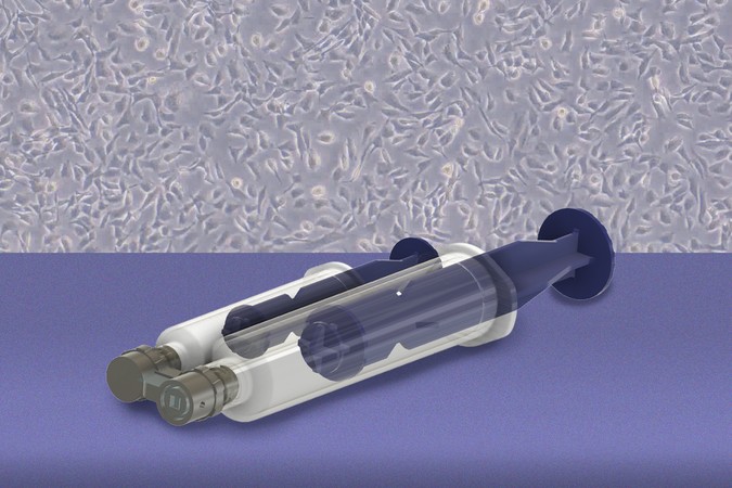 MIT-Ovarian-Detection-01-press.jpg