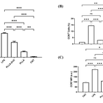 Figure  2 Revision.png